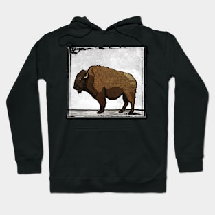 Digital Pop Art Modern Bison Buffalo Print Hoodie